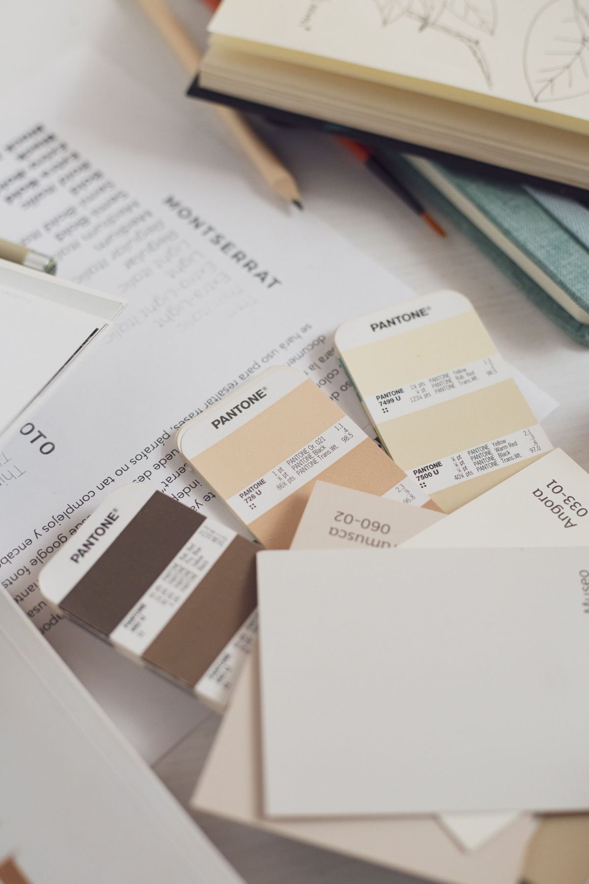 Colour swatches and a typeface sample laid out for a new brand